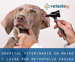 Hospital veterinario en Maine y Loira por metropolis - página 3