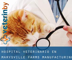 Hospital veterinario en Marysville Farms Manufacturing Home Community