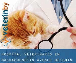 Hospital veterinario en Massachusetts Avenue Heights
