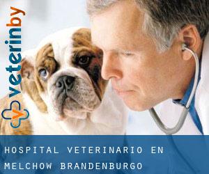 Hospital veterinario en Melchow (Brandenburgo)