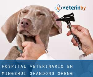 Hospital veterinario en Mingshui (Shandong Sheng)