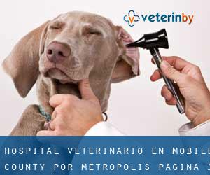 Hospital veterinario en Mobile County por metropolis - página 3