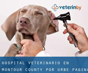 Hospital veterinario en Montour County por urbe - página 1