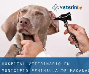 Hospital veterinario en Municipio Península de Macanao