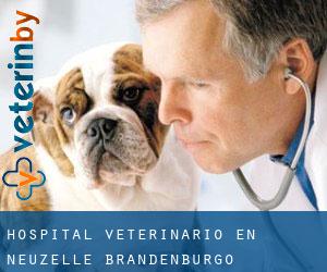 Hospital veterinario en Neuzelle (Brandenburgo)