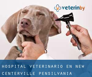 Hospital veterinario en New Centerville (Pensilvania)