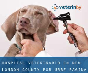 Hospital veterinario en New London County por urbe - página 2