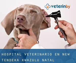 Hospital veterinario en New Tendeka (KwaZulu-Natal)