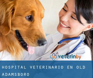 Hospital veterinario en Old Adamsboro