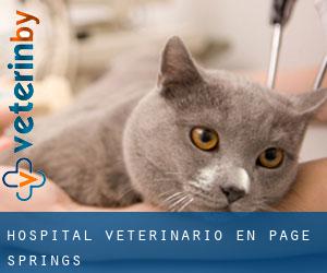 Hospital veterinario en Page Springs
