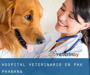 Hospital veterinario en Pak Phanang