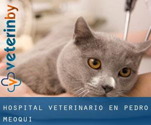 Hospital veterinario en Pedro Meoqui
