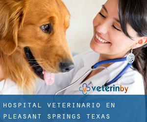 Hospital veterinario en Pleasant Springs (Texas)