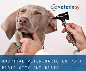Hospital veterinario en Port Pirie City and Dists