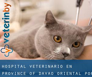 Hospital veterinario en Province of Davao Oriental por población - página 1
