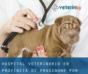 Hospital veterinario en Provincia di Frosinone por población - página 1