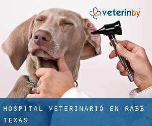 Hospital veterinario en Rabb (Texas)