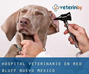 Hospital veterinario en Red Bluff (Nuevo México)