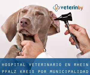 Hospital veterinario en Rhein-Pfalz-Kreis por municipalidad - página 1