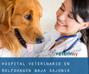 Hospital veterinario en Rolfshagen (Baja Sajonia)