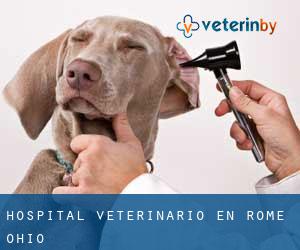 Hospital veterinario en Rome (Ohio)