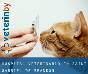 Hospital veterinario en Saint-Gabriel-de-Brandon
