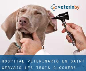 Hospital veterinario en Saint-Gervais-les-Trois-Clochers