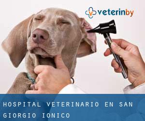 Hospital veterinario en San Giorgio Ionico
