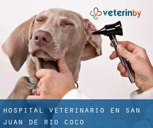 Hospital veterinario en San Juan de Río Coco