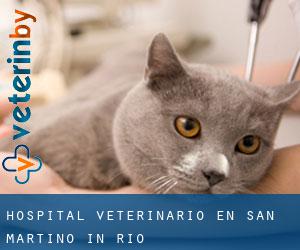 Hospital veterinario en San Martino in Rio