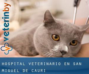 Hospital veterinario en San Miguel de Cauri