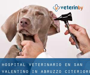 Hospital veterinario en San Valentino in Abruzzo Citeriore