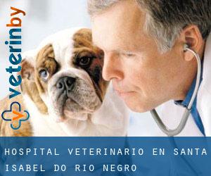 Hospital veterinario en Santa Isabel do Rio Negro