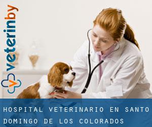 Hospital veterinario en Santo Domingo de los Colorados