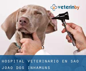 Hospital veterinario en São João dos Inhamuns