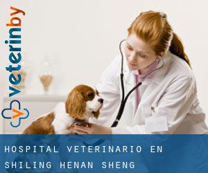 Hospital veterinario en Shiling (Henan Sheng)