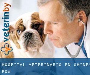 Hospital veterinario en Shiney Row