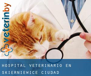 Hospital veterinario en Skierniewice (Ciudad)