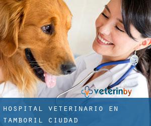 Hospital veterinario en Tamboril (Ciudad)