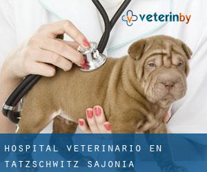 Hospital veterinario en Tätzschwitz (Sajonia)