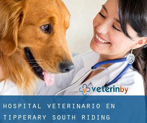 Hospital veterinario en Tipperary South Riding