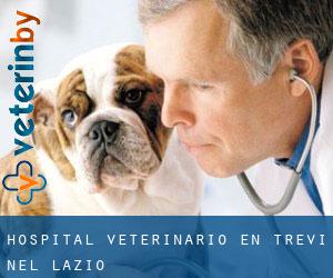 Hospital veterinario en Trevi nel Lazio