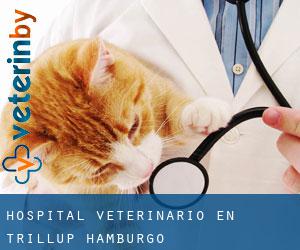 Hospital veterinario en Trillup (Hamburgo)