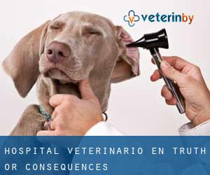 Hospital veterinario en Truth or Consequences