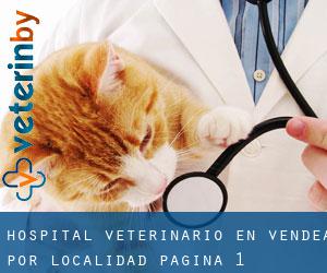 Hospital veterinario en Vendea por localidad - página 1