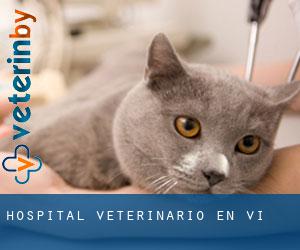 Hospital veterinario en Vi