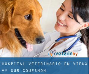 Hospital veterinario en Vieux-Vy-sur-Couesnon