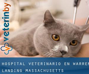 Hospital veterinario en Warren Landing (Massachusetts)