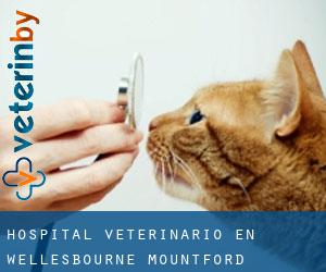 Hospital veterinario en Wellesbourne Mountford