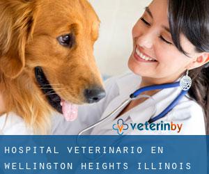 Hospital veterinario en Wellington Heights (Illinois)